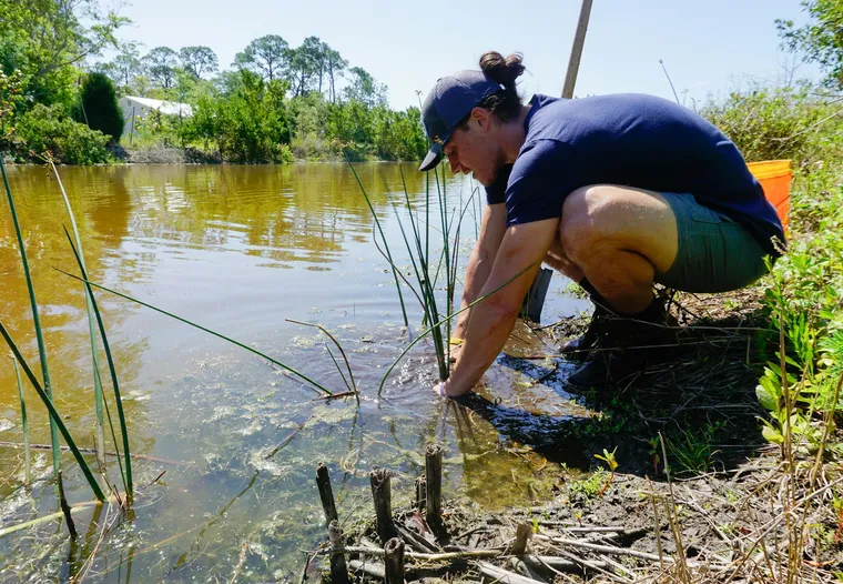Water & Environmental Sampling